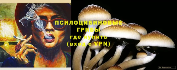 амф Алзамай